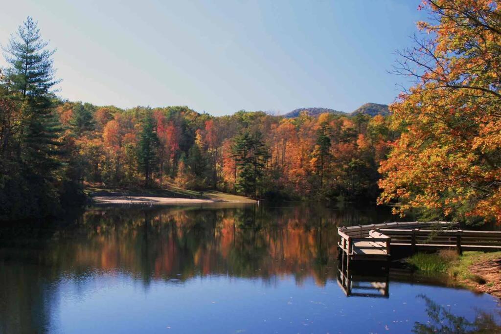Bluebirds Nest 10 Min To Avl Biltmore Hot Tub Cont Bkfst Sparkling Water Asheville Exterior foto